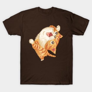 Tabby cat to look up at T-Shirt